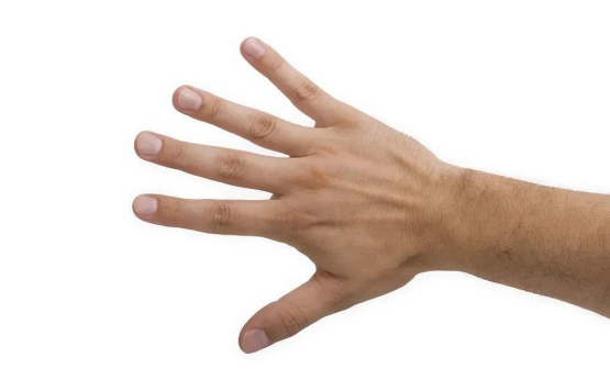 image.png